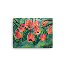 Load image into Gallery viewer, Ackee Canvas Print 12×16
