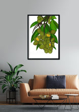 Load image into Gallery viewer, Guinep Art Print
