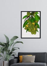 Load image into Gallery viewer, Guinep Art Print