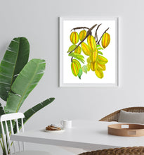 Load image into Gallery viewer, Tropical Fruits Art Print Bundle Set of 5 Prints