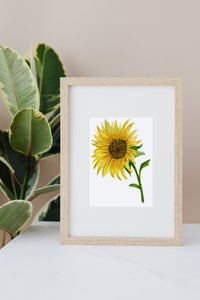 Sunflower Series #2 Watercolor Painting 
