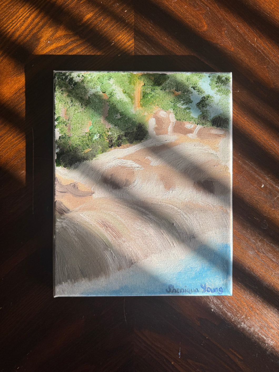 Waterfall on the Shoreline Oil Painting 