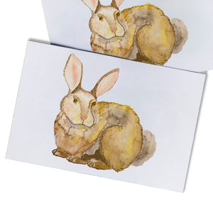 Bunny Greeting Cards 