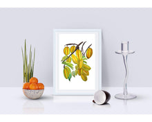 Load image into Gallery viewer, Star Fruit Art Prints 
