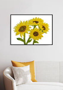 Sunflowers Art Print 