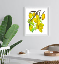 Load image into Gallery viewer, Tropical Fruits Art Print Bundle Set of 4 Prints 

